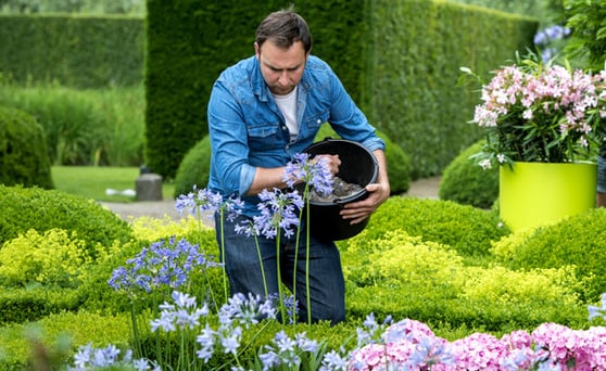 plantenvoeding